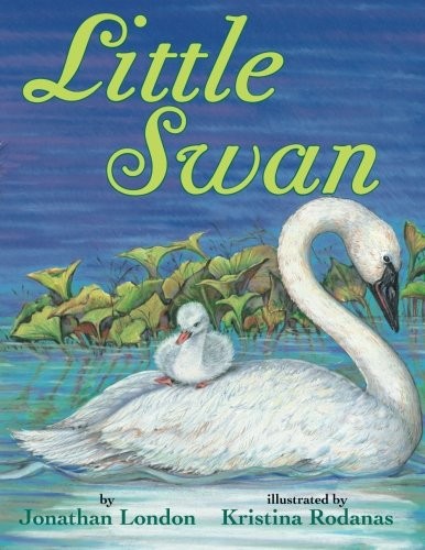Little Swan