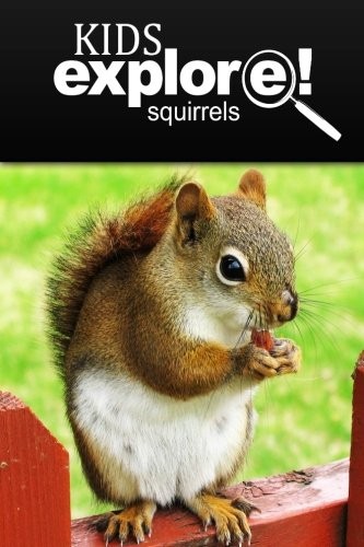 Squirrel - Kids Explore