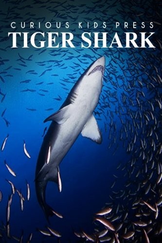 Tiger Shark - Curious Kids Press