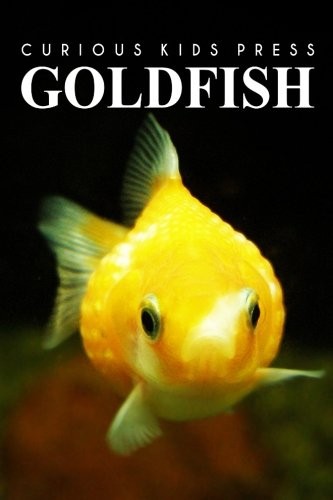 Gold fish - Curious Kids Press