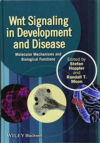 Wnt Signaling in Development and Disease