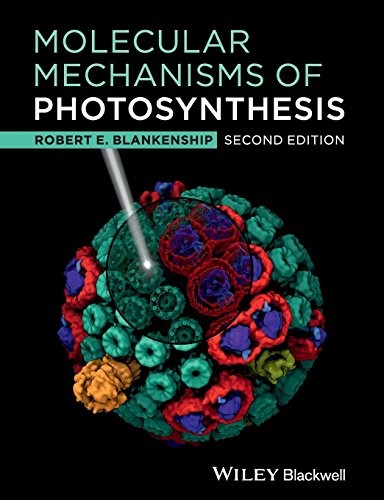 Molecular Mechanisms of Photosynthesis, 2nd Edition
