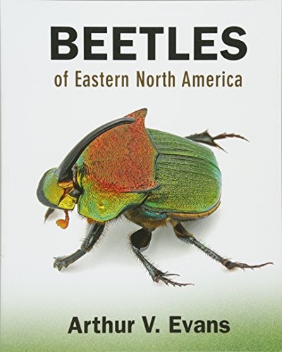 Beetles of Eastern North America
