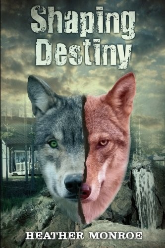 Shaping Destiny