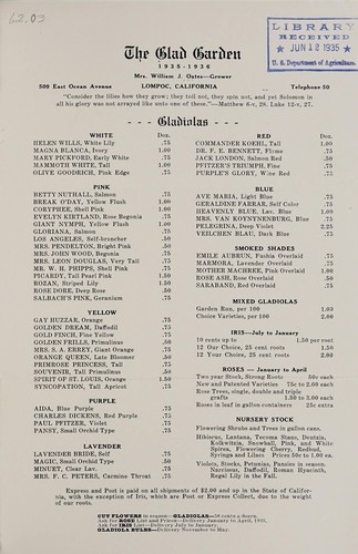 Gladiolus, 1935-1936