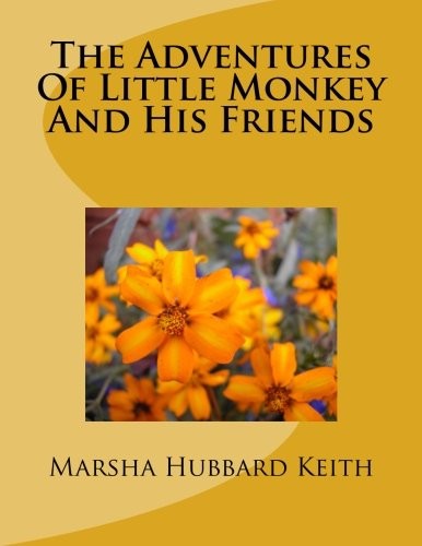 The Adventures Of Little Monkey And His Friends