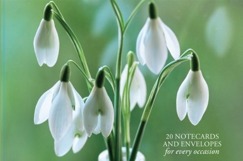 Card Box of 20 Notecards and Envelopes : Snowdrop