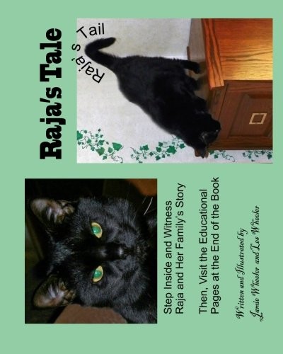 Raja's Tale