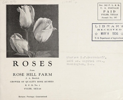 Roses