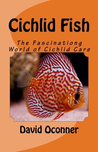Cichlid Fish