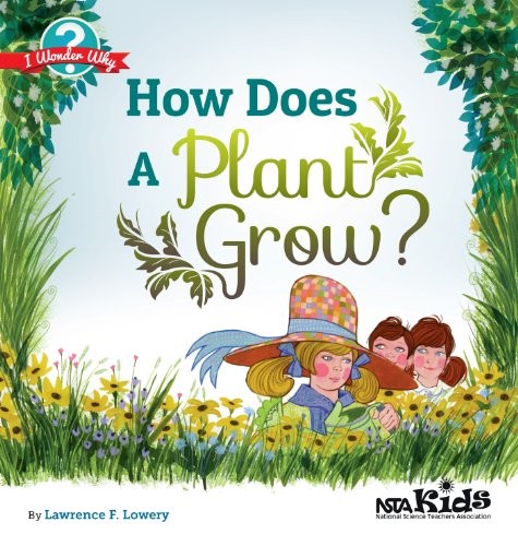 How does a plant grow?