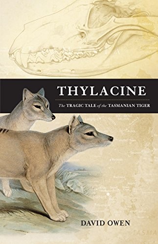 Thylacine