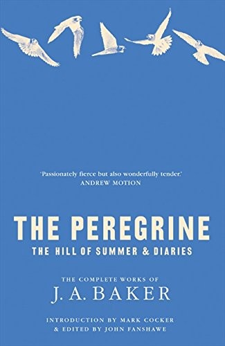 The Peregrine : The Hill of Summer & Diaries