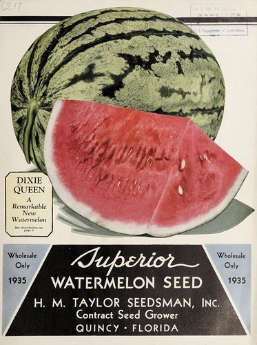 Superior watermelon seed