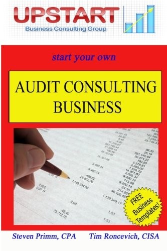 Audit Consulting Business