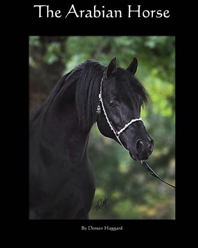 The Arabian Horse