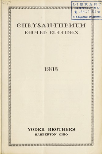 Chrysanthemum rooted cuttings, 1935