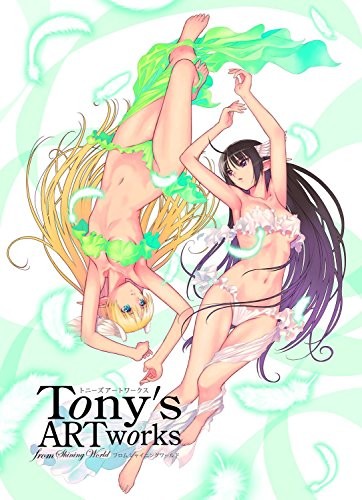Tony's Artworks from Shining World