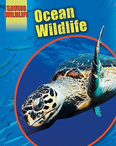 Ocean Animals