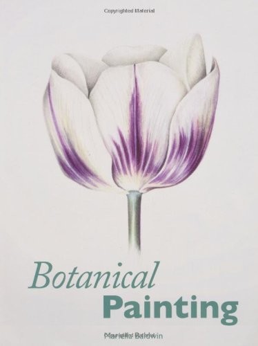 Botanical Painting
