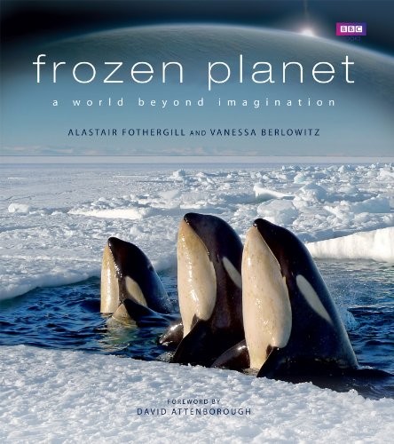 Frozen planet