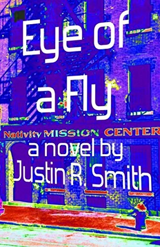 Eye of a Fly