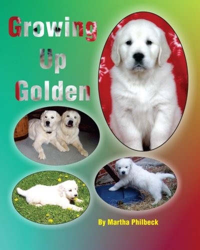 Growing Up Golden