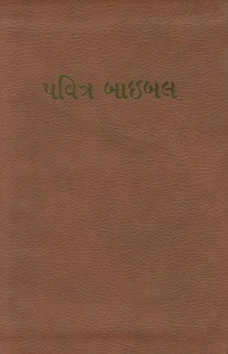 Gujarati Bible-FL-Easy-To-Read