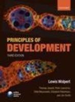Principles Of Development