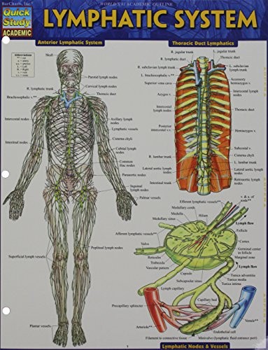 Lymphatic System
