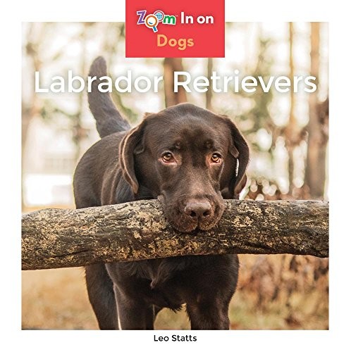 Labrador Retrievers
