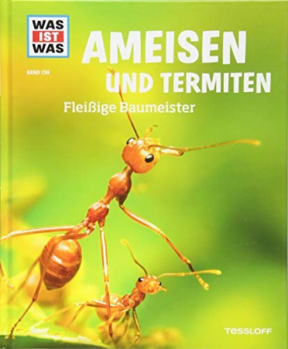Ameisen und Termiten. Fleißige Baumeister