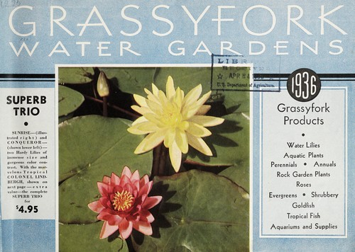 Grassyfork Water Gardens, 1936