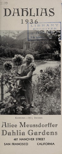 Dahlias, 1936