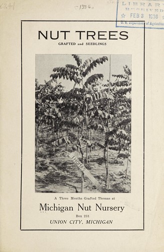 Nut trees, grafted and seedlings