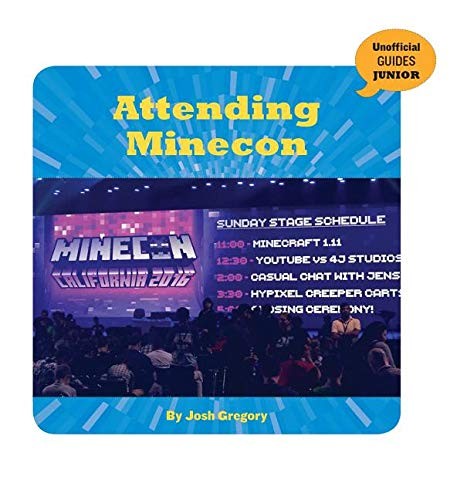 Attending Minecon