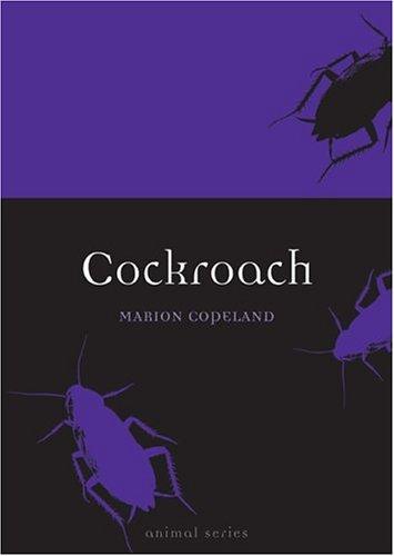 Cockroach