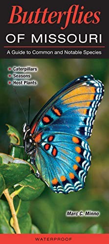 Butterflies of Missouri A Guide to Common and Notable Species