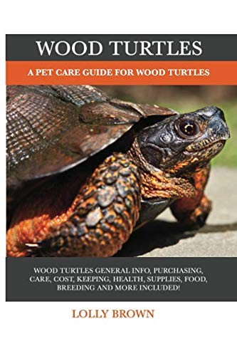 Wood Turtles