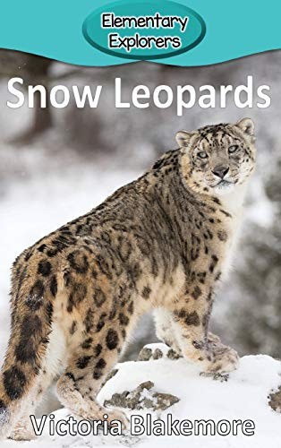 Snow Leopards