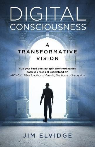 Digital Consciousness