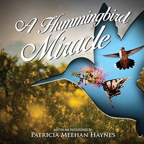 A Hummingbird Miracle