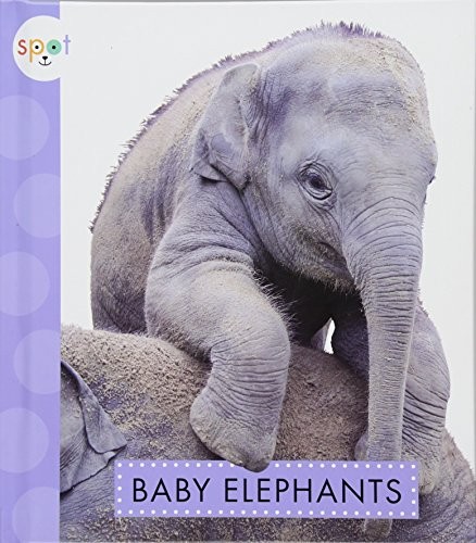 Baby Elephants