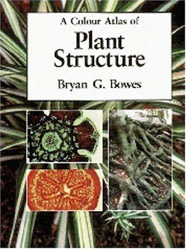 A Colour Atlas of Plant Structure