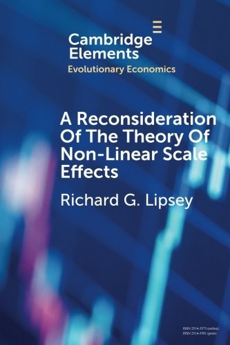 A Reconsideration of the Theory of Non-Linear Scale Effects
