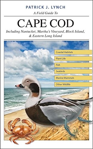 A Field Guide to Cape Cod