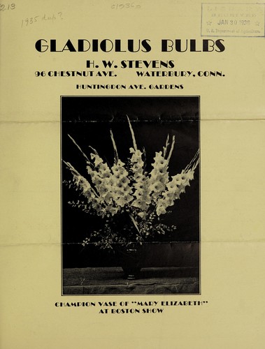 Gladiolus bulbs