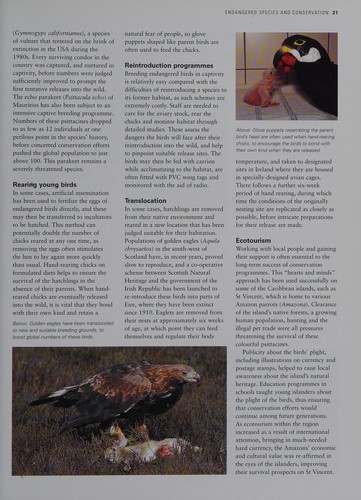 The complete illustrated encyclopedia of birds of the world