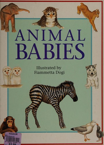 Animal babies