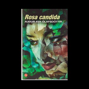 Rosa candida
